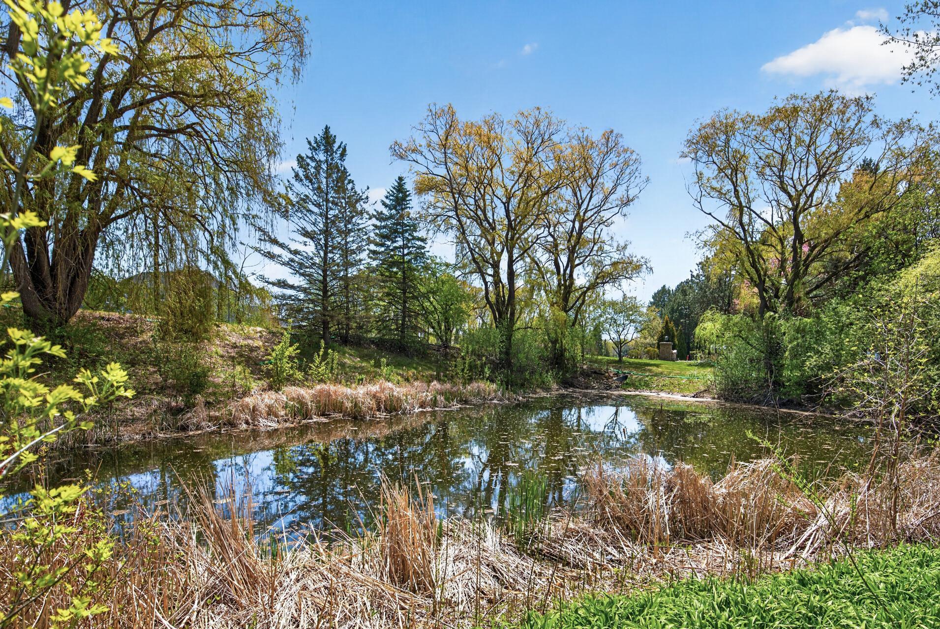 pond view