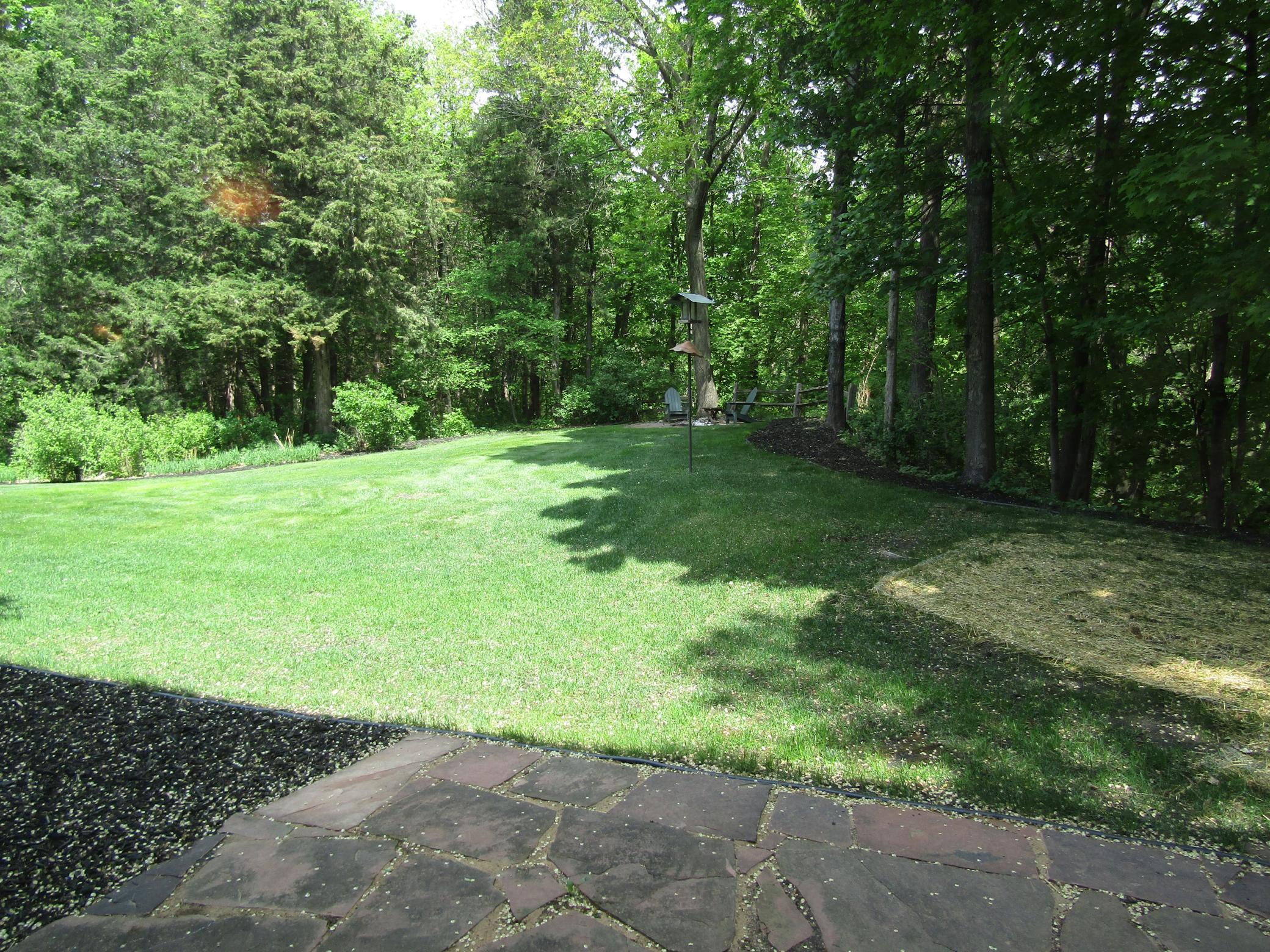Family room view of backyard.