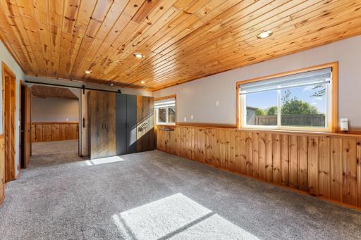 Large lower level bedroom with lots of light