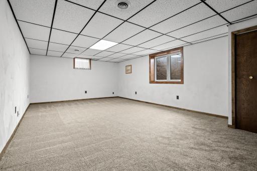 Basement Living Room