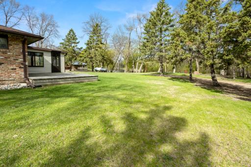 Nice yard