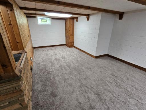 Lower level living space with all new carpet.