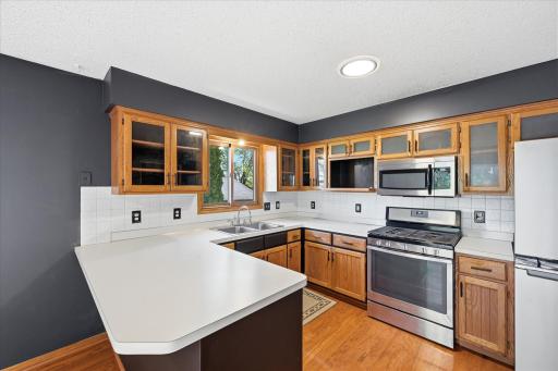 19382 Euclid Path, Farmington, MN 55024