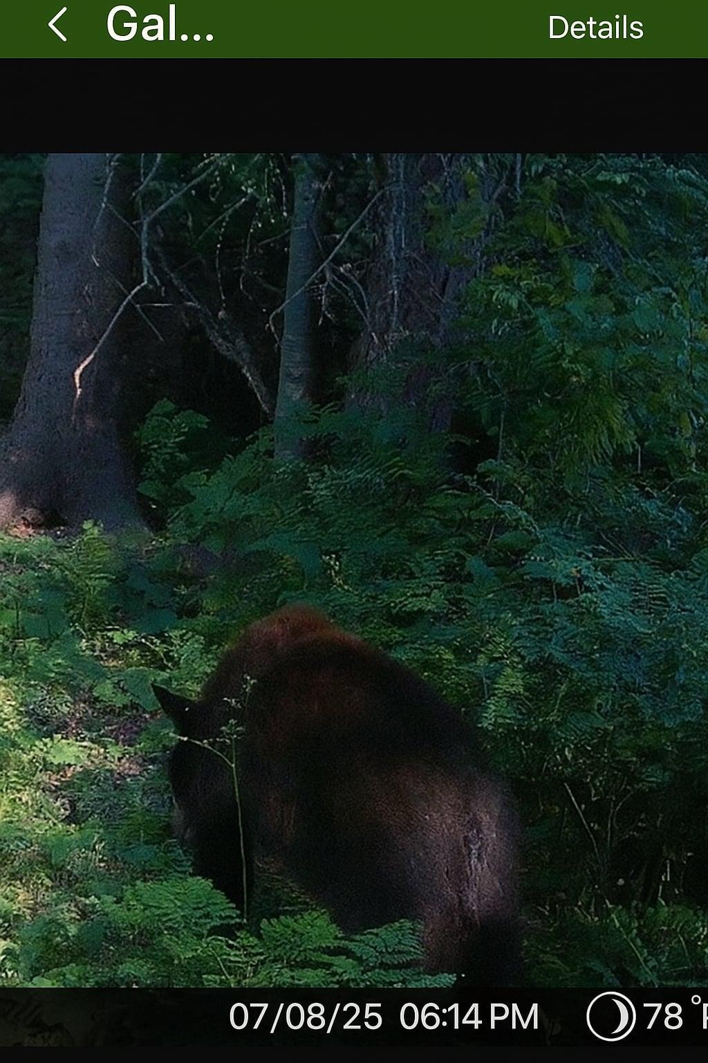 Photo 37