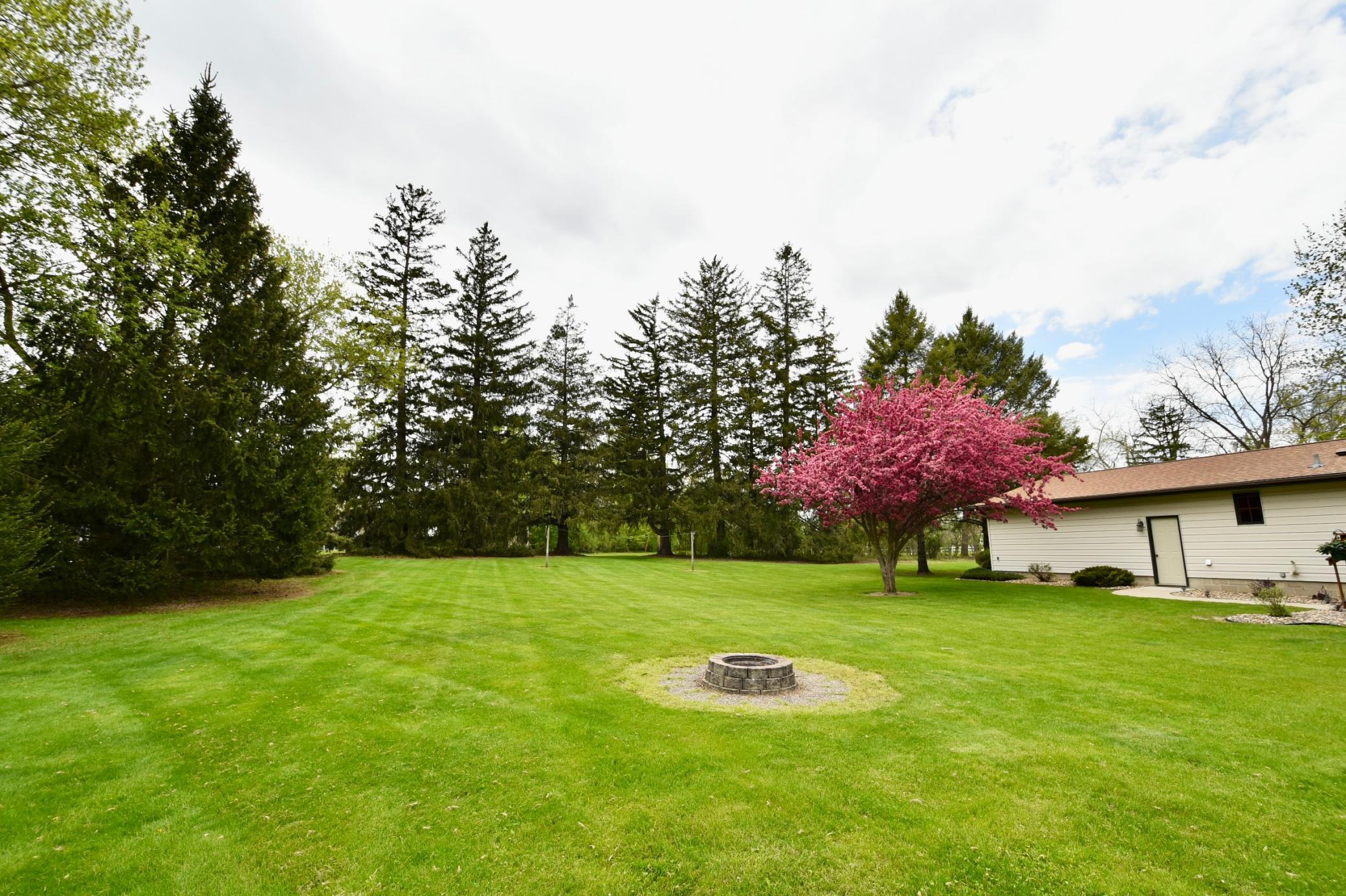 LARGE BACKYARD