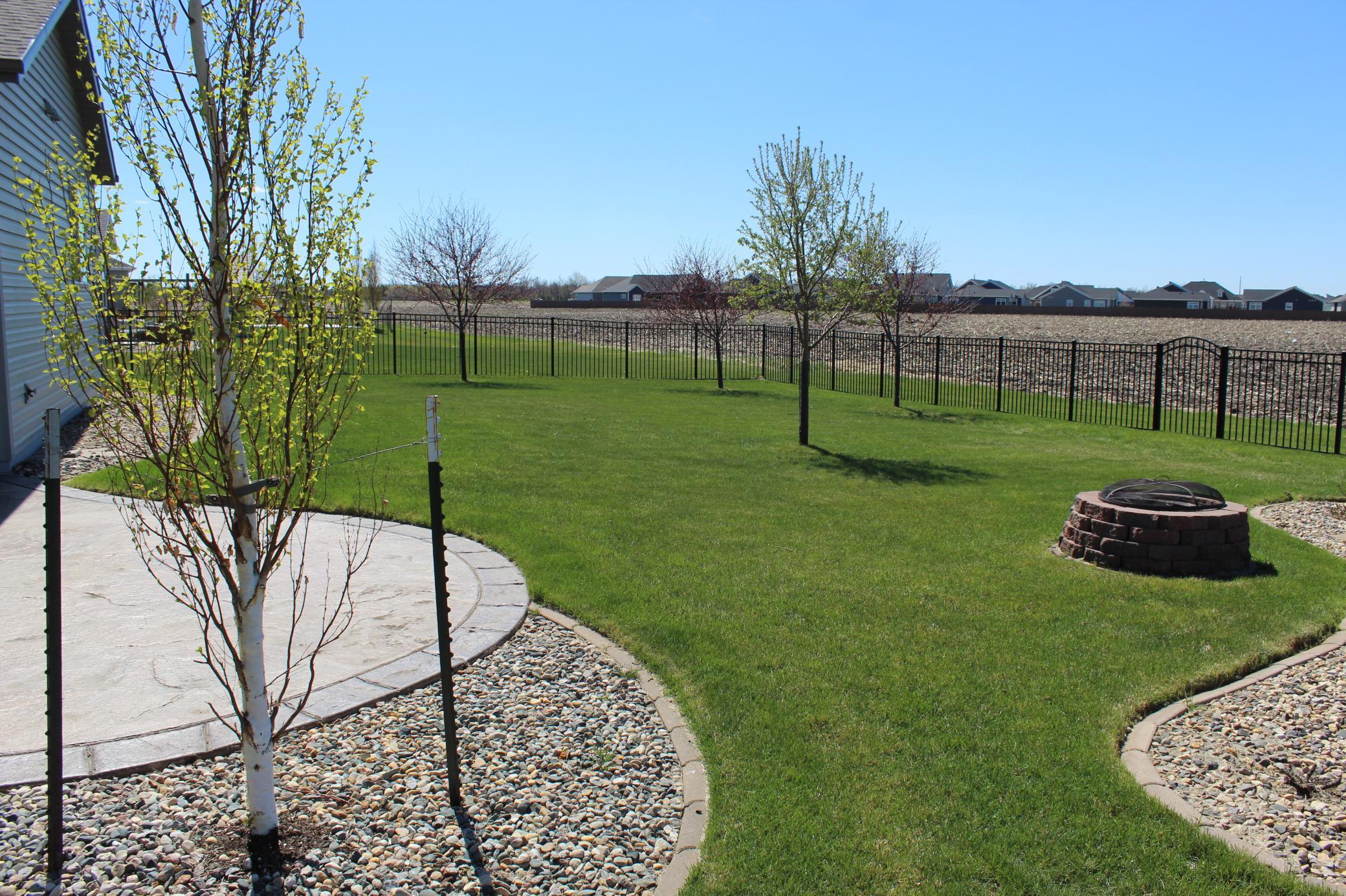 IMG_4353.JPG