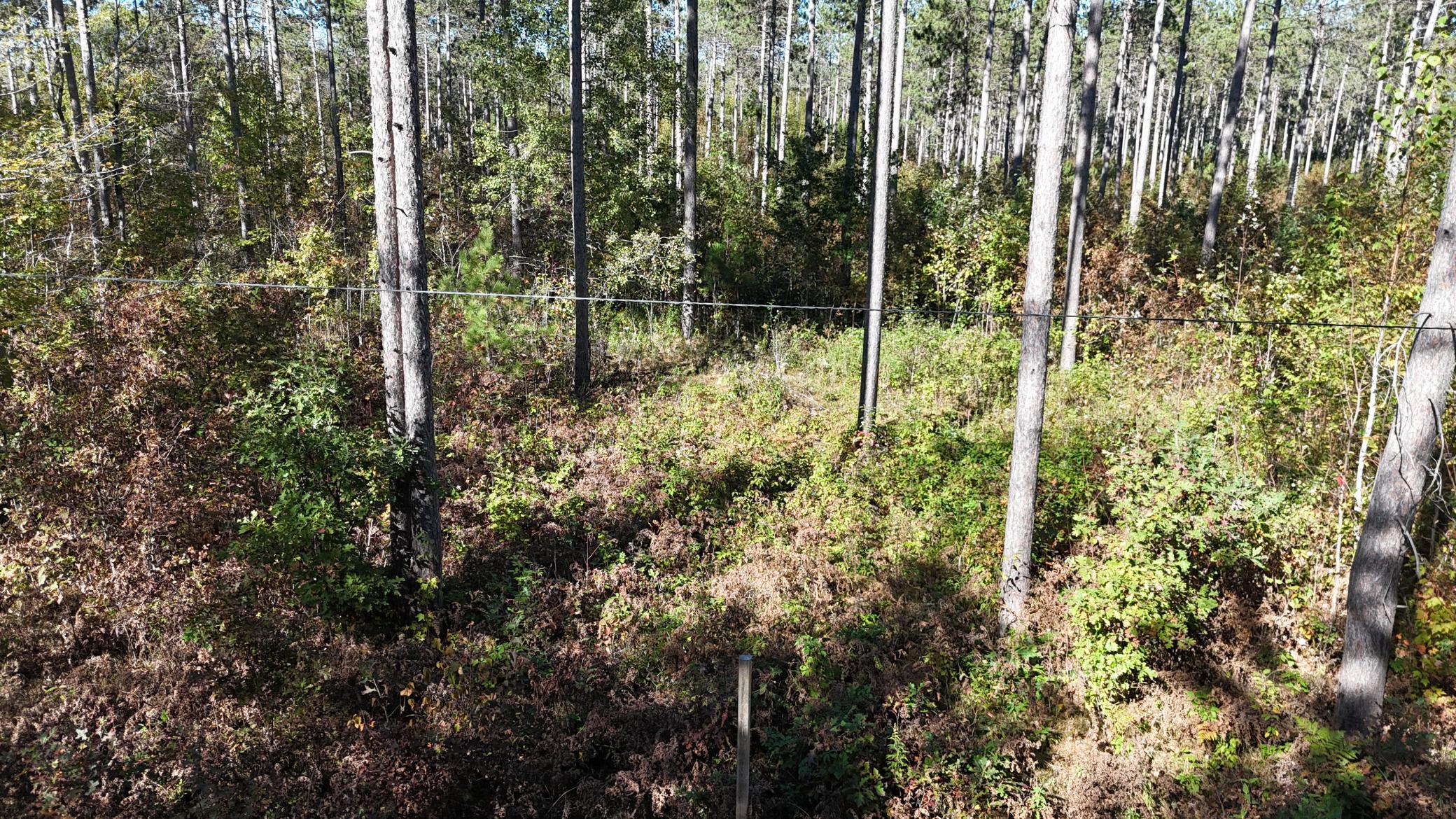 Gorgeous Wooded Lot ready for your dream!