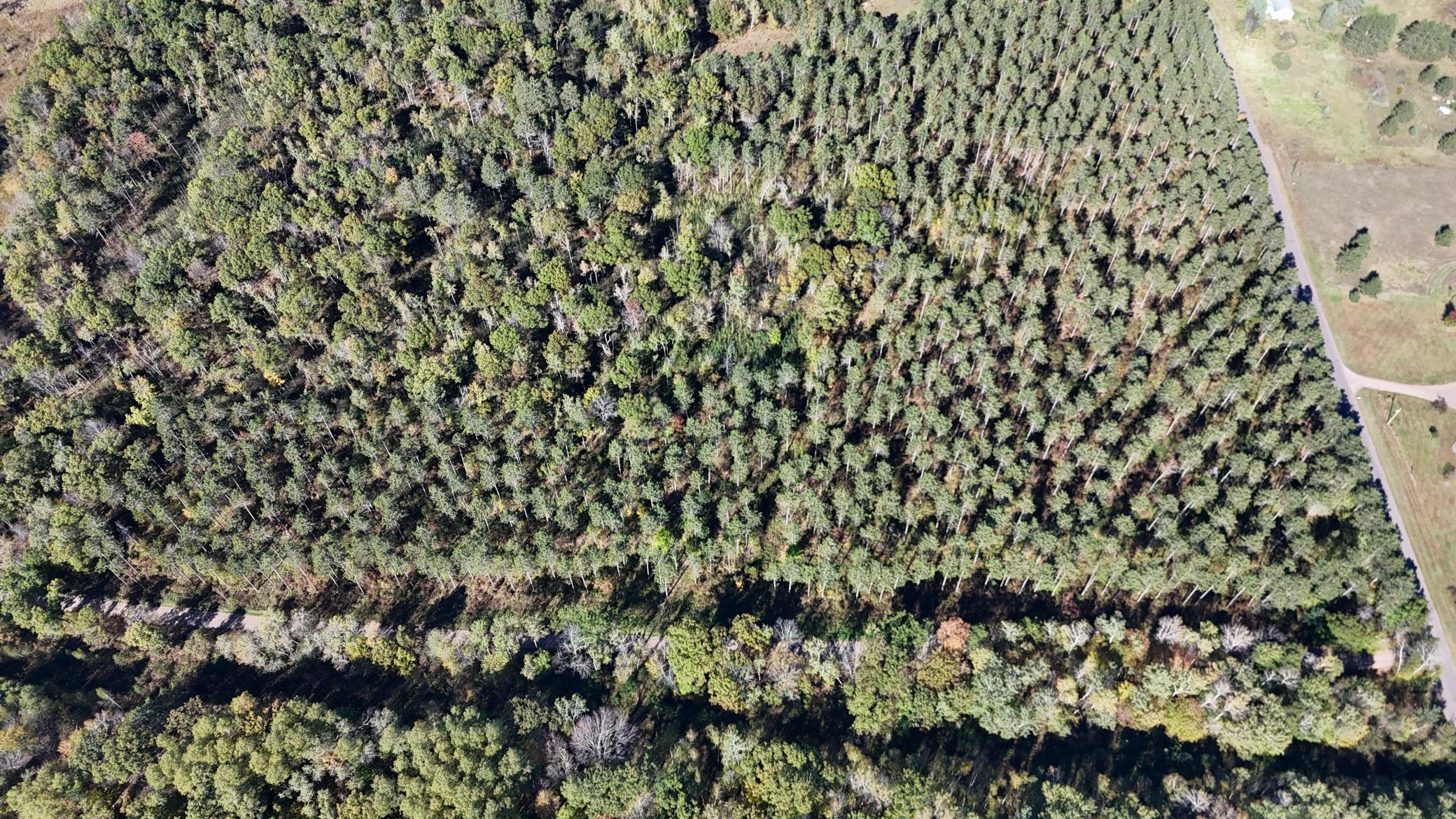 DJI_20251008142345_0051_D.JPG