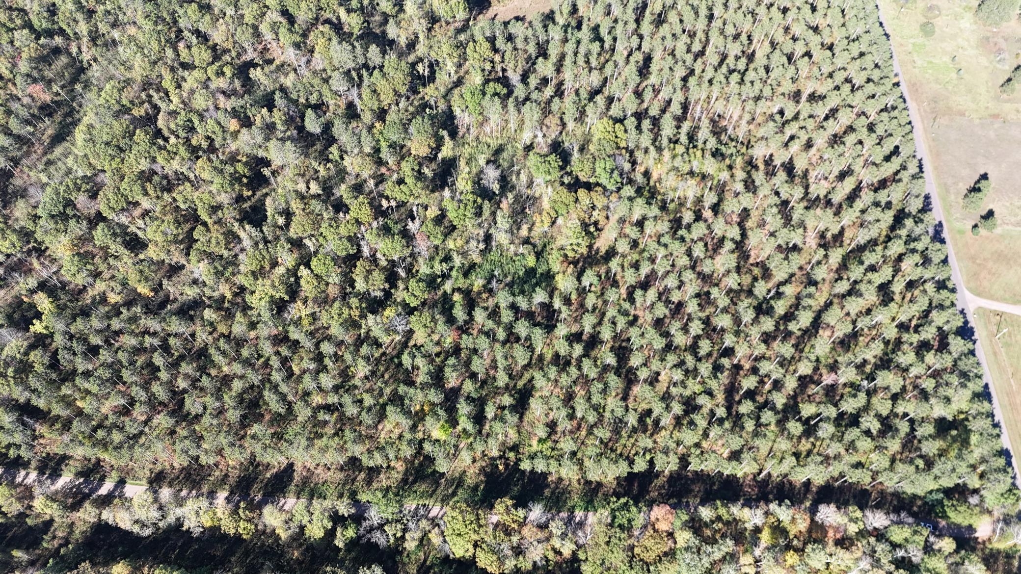 DJI_20251008142354_0052_D.JPG