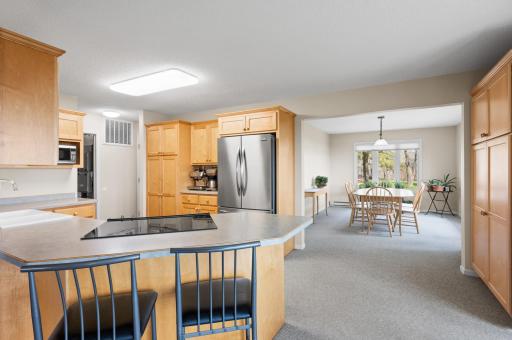 748 E Sandy Beach Drive NE, Miltona, MN 56354