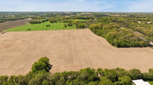 Whether you envision a stately custom estate, a modern farmhouse, or a private retreat tucked among the trees, this extraordinary property offers the space and setting to bring your vision to life.