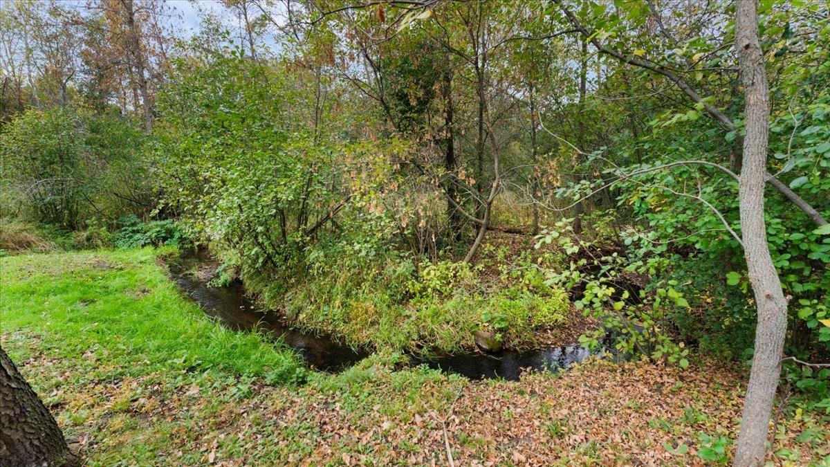 Luxemburg Creek!