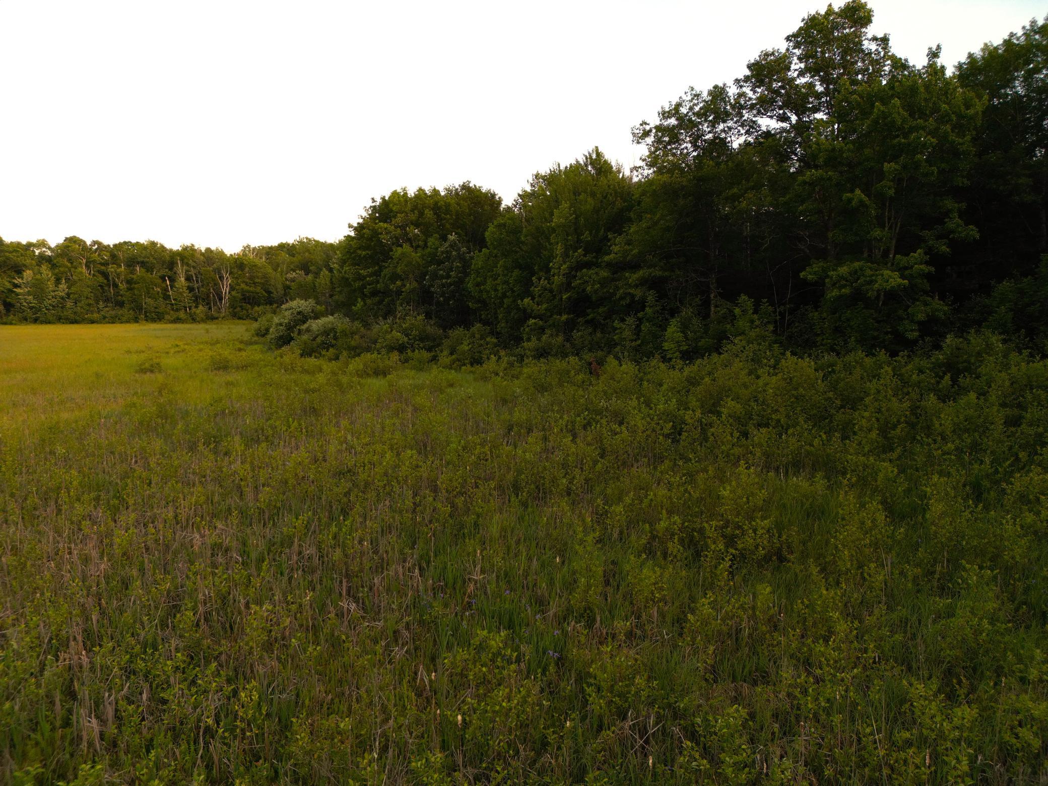 DJI_0830.JPG