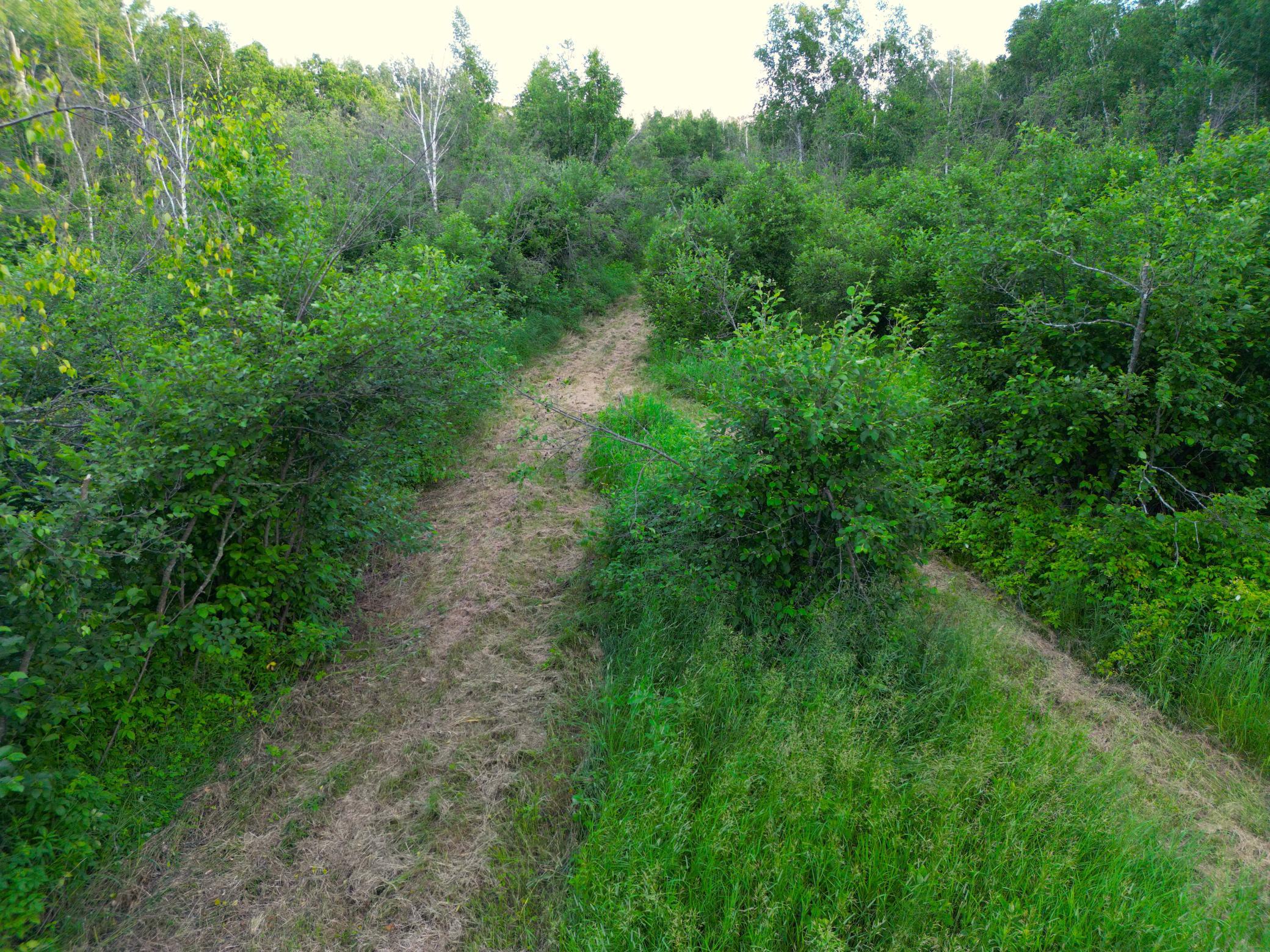 DJI_0828.JPG
