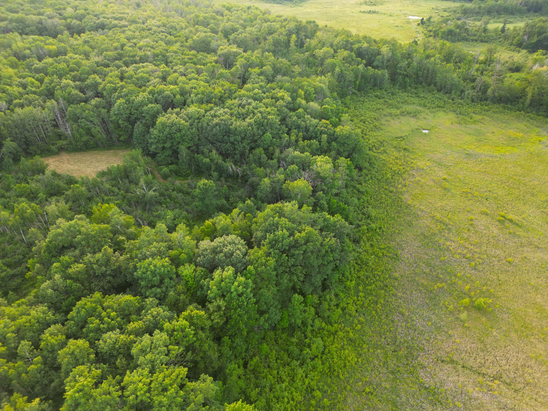 DJI_0824.JPG