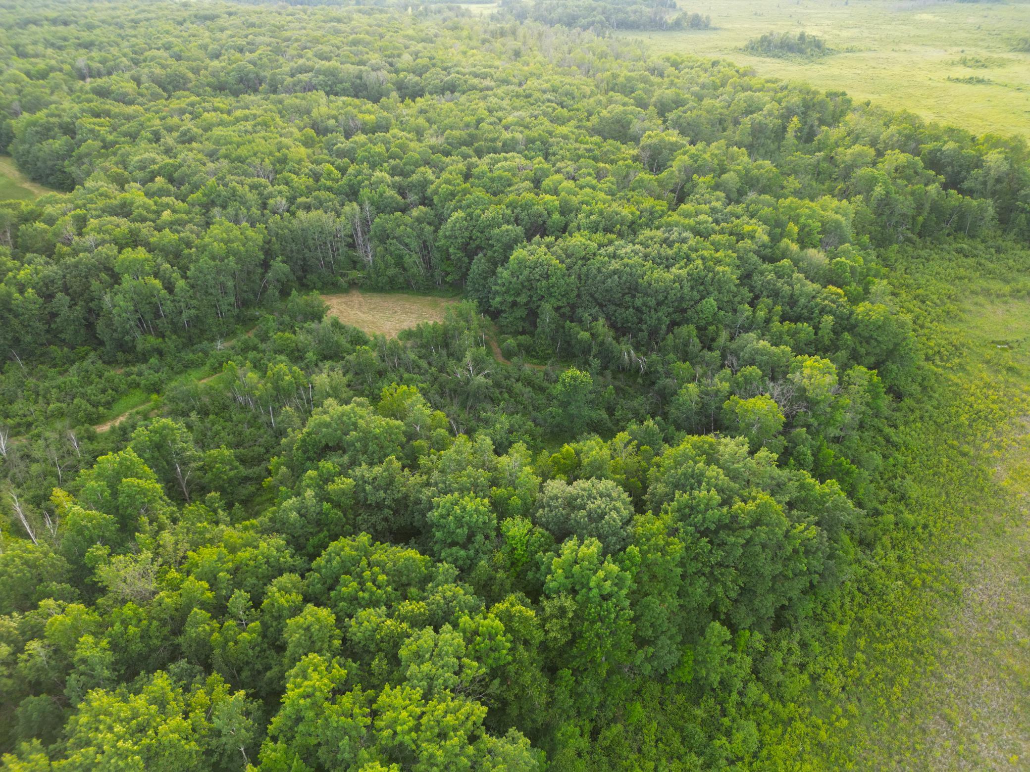 DJI_0823.JPG
