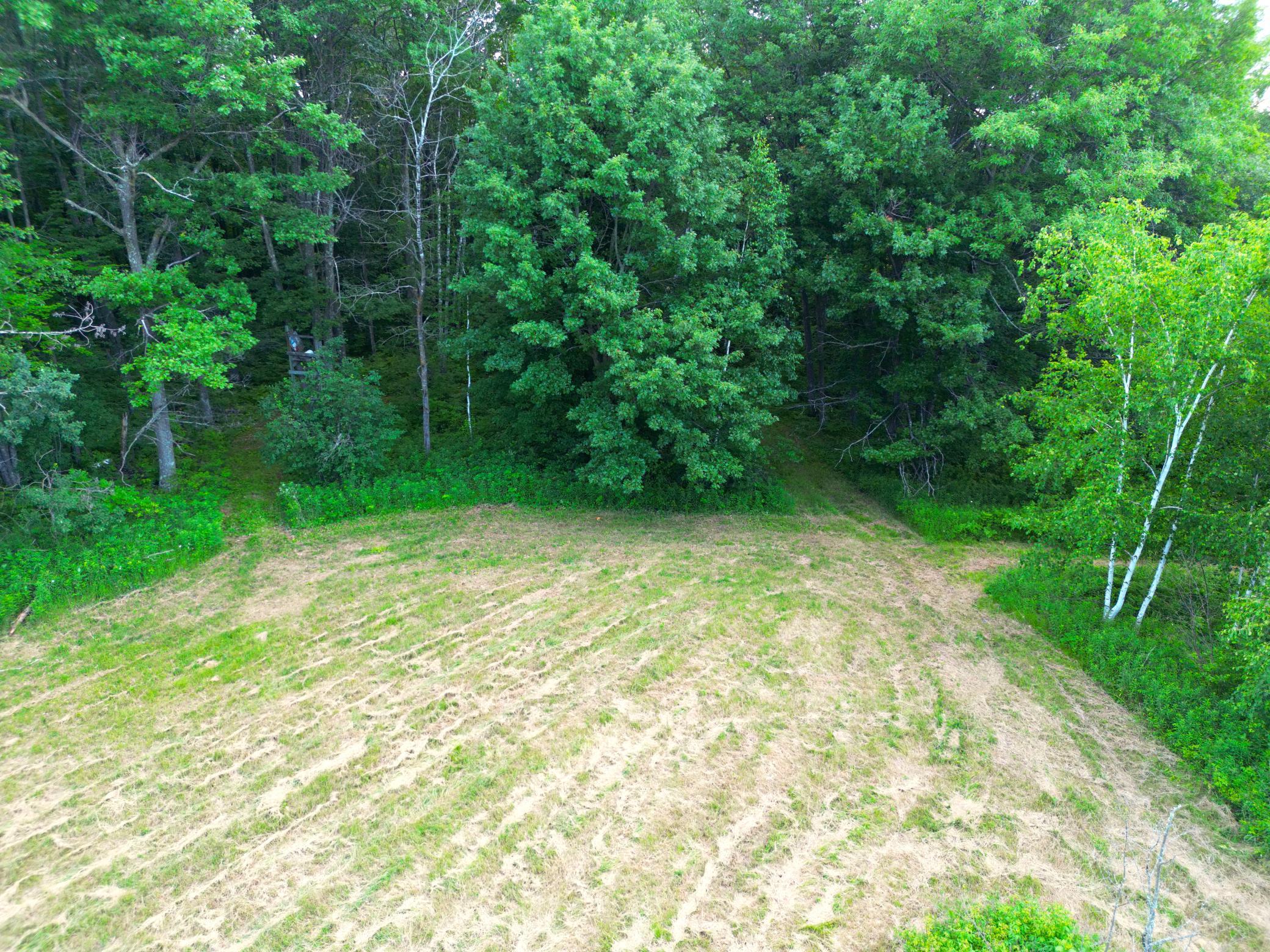 DJI_0821.JPG
