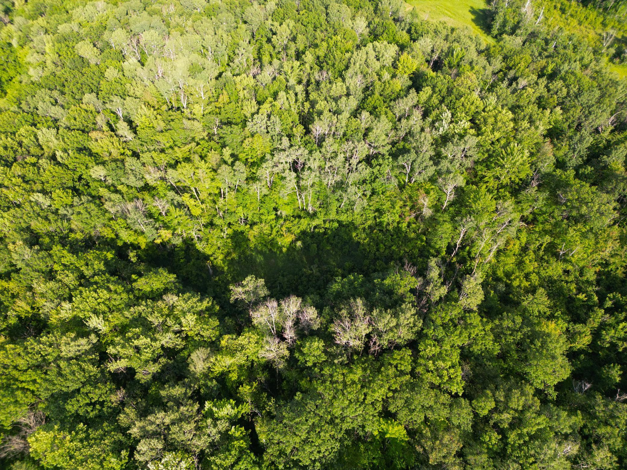 DJI_0783.JPG