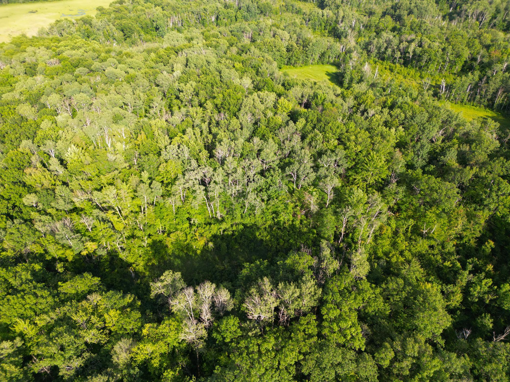 DJI_0782.JPG