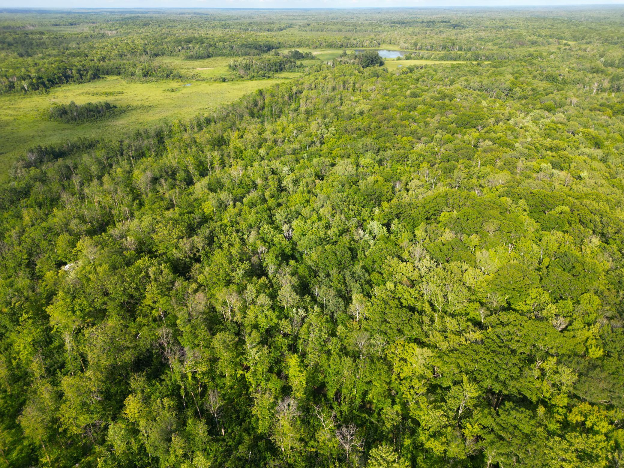 DJI_0778.JPG