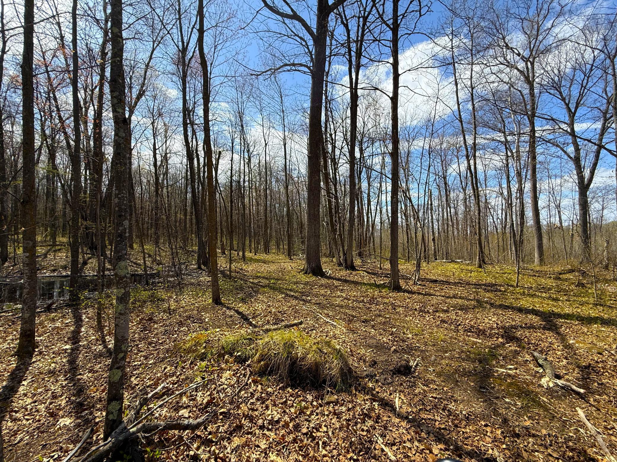 IMG_4955.JPG