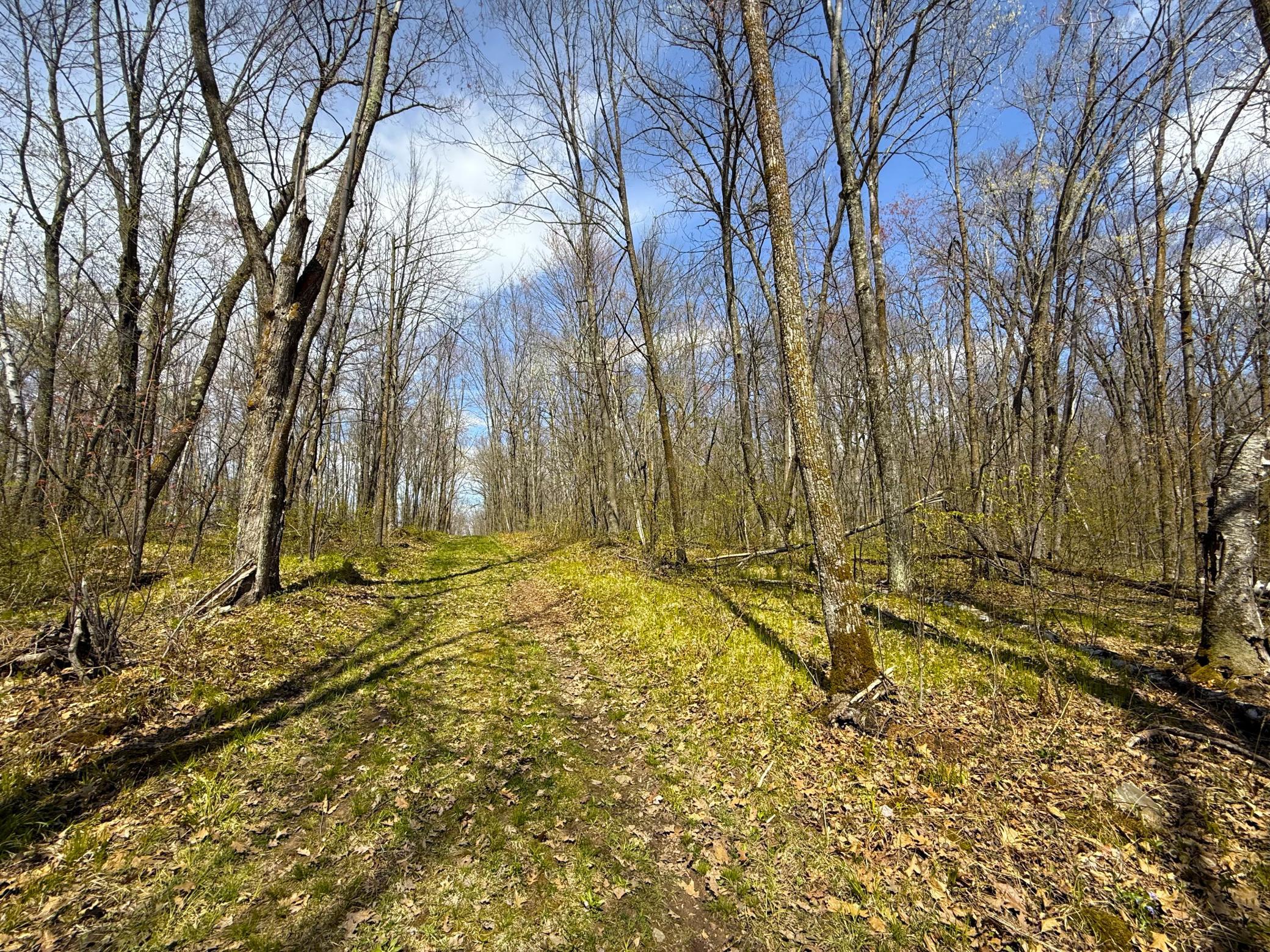 IMG_4935.JPG