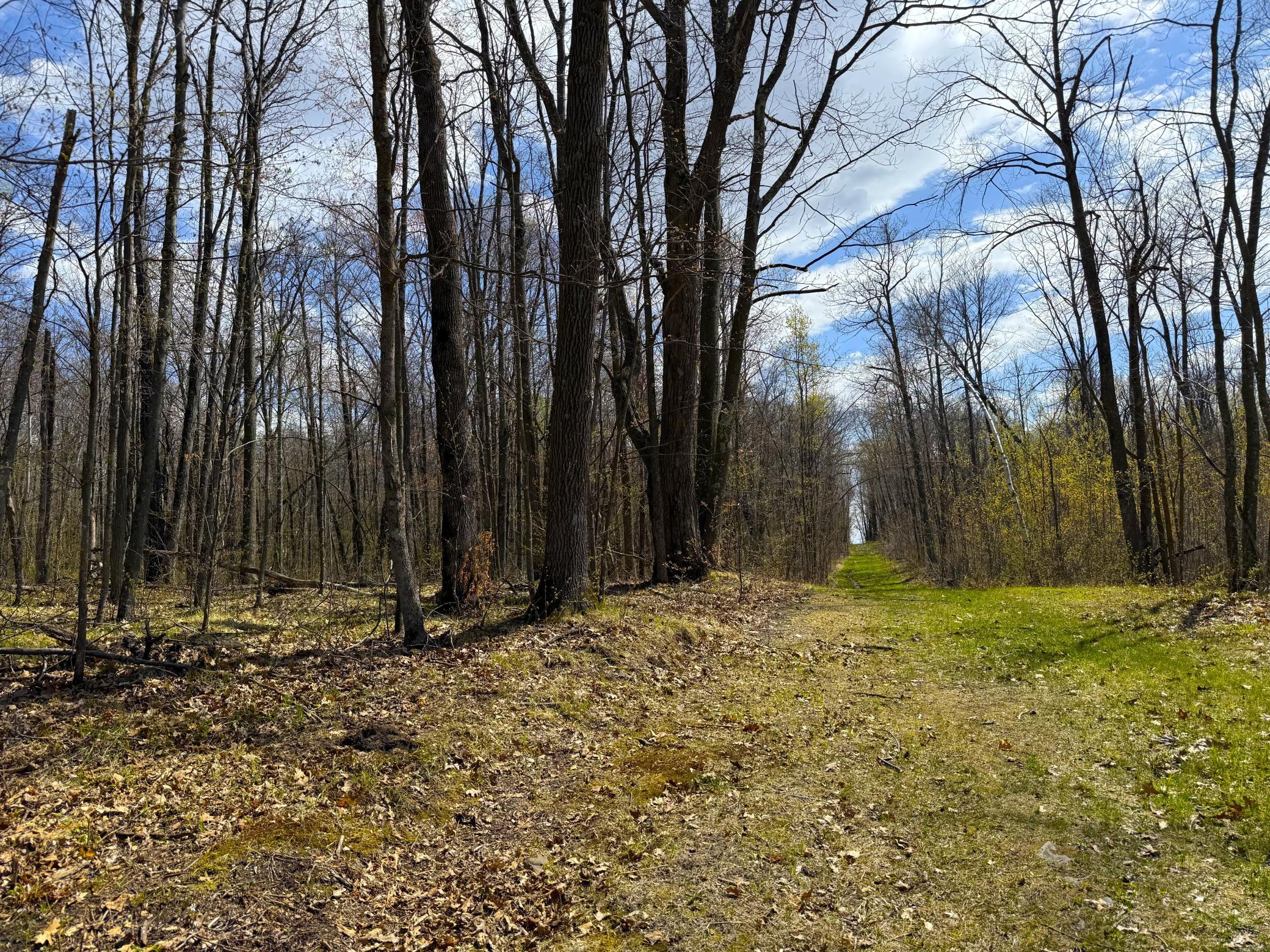 IMG_4958.JPG
