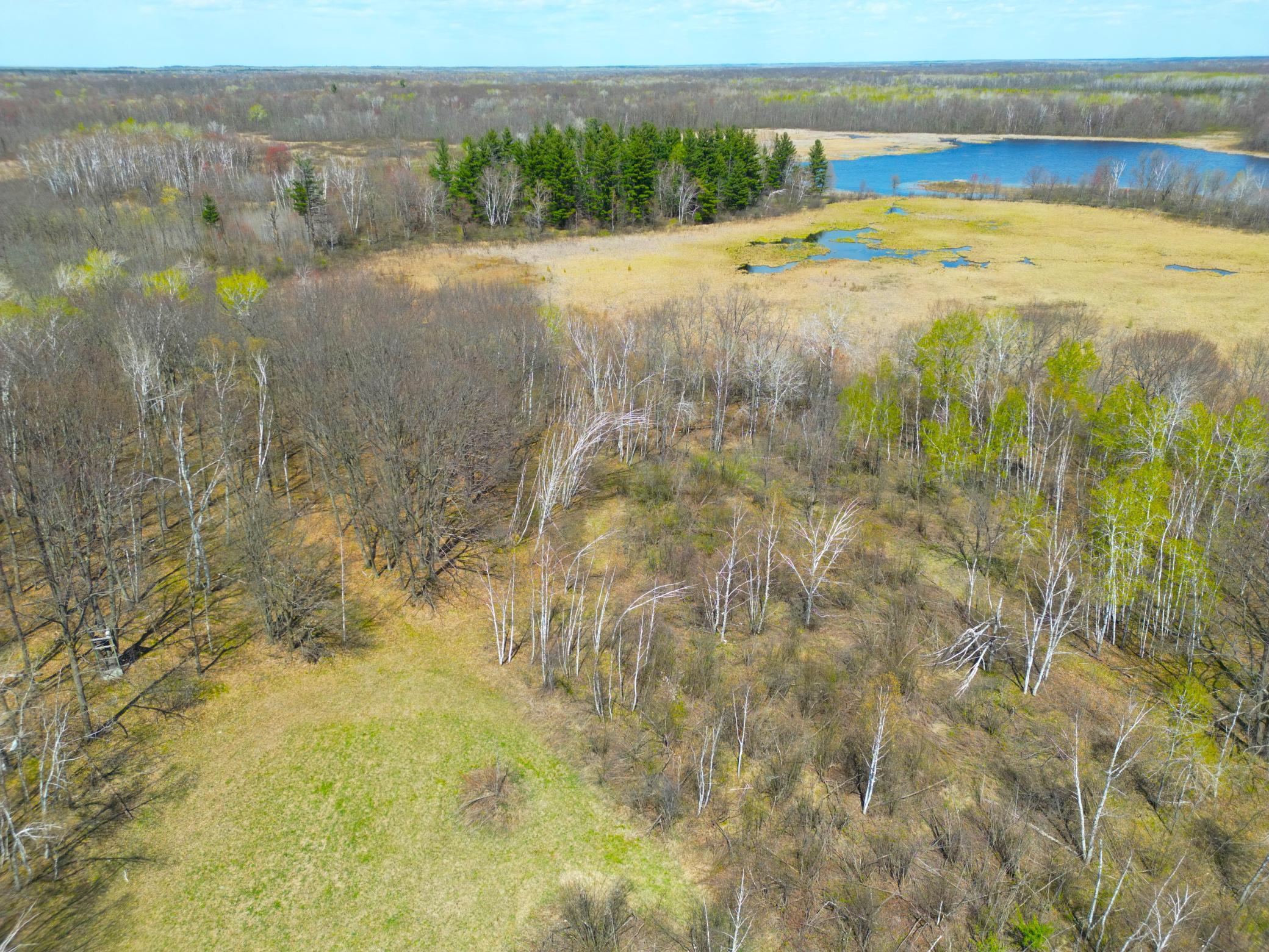 DJI_0186.JPG