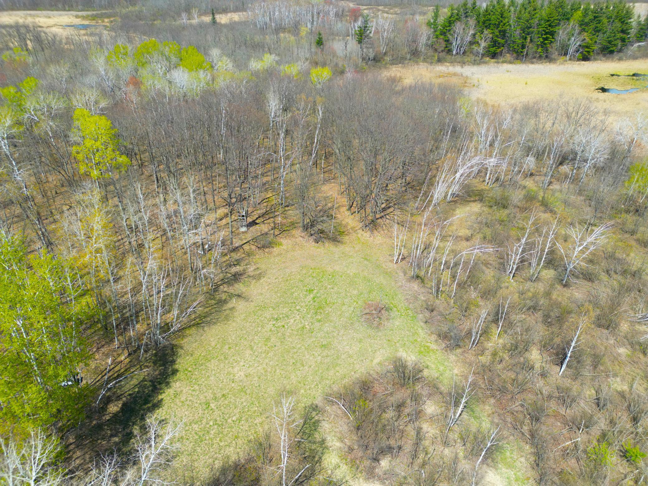 DJI_0185.JPG