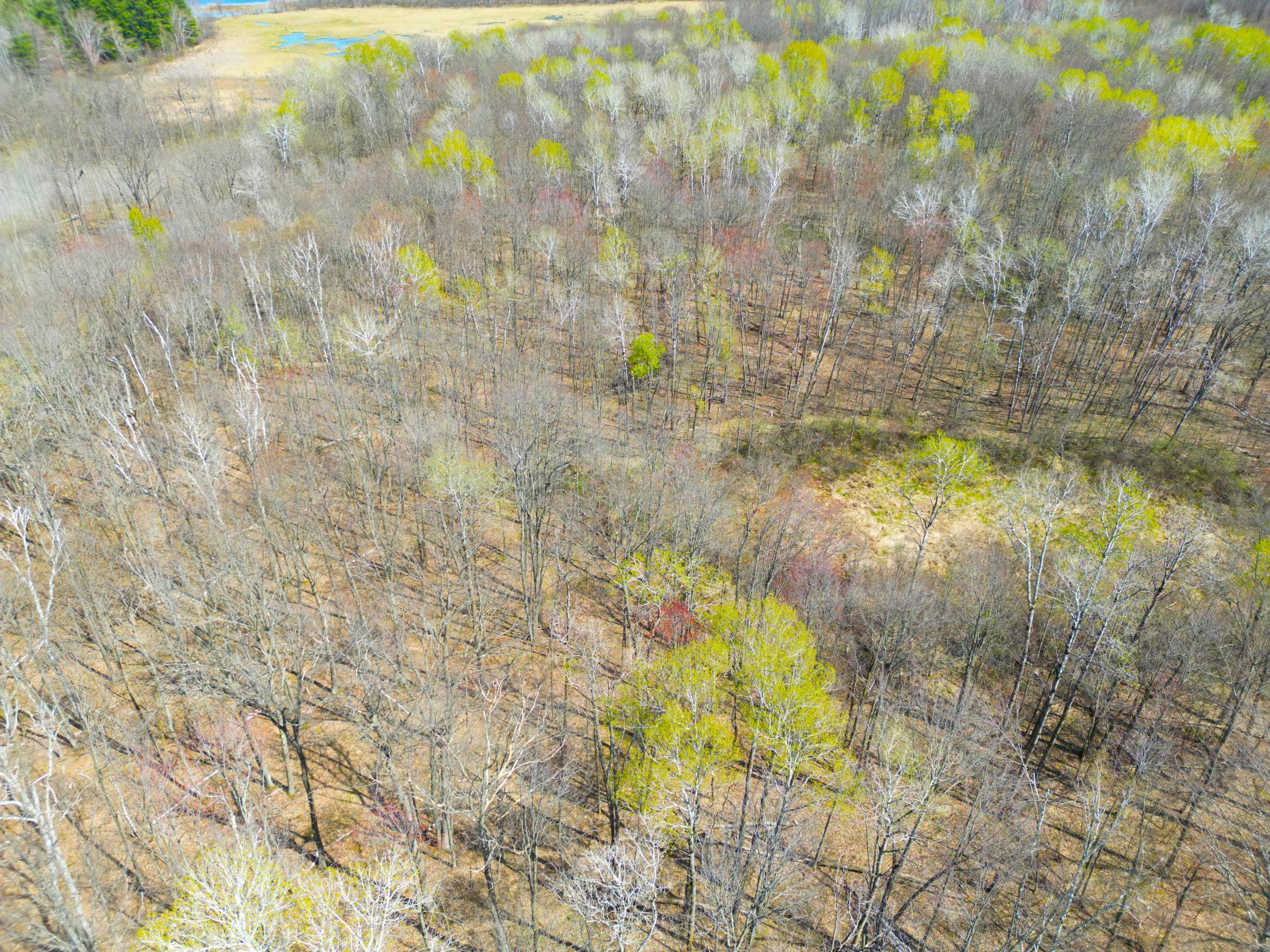 DJI_0190.JPG