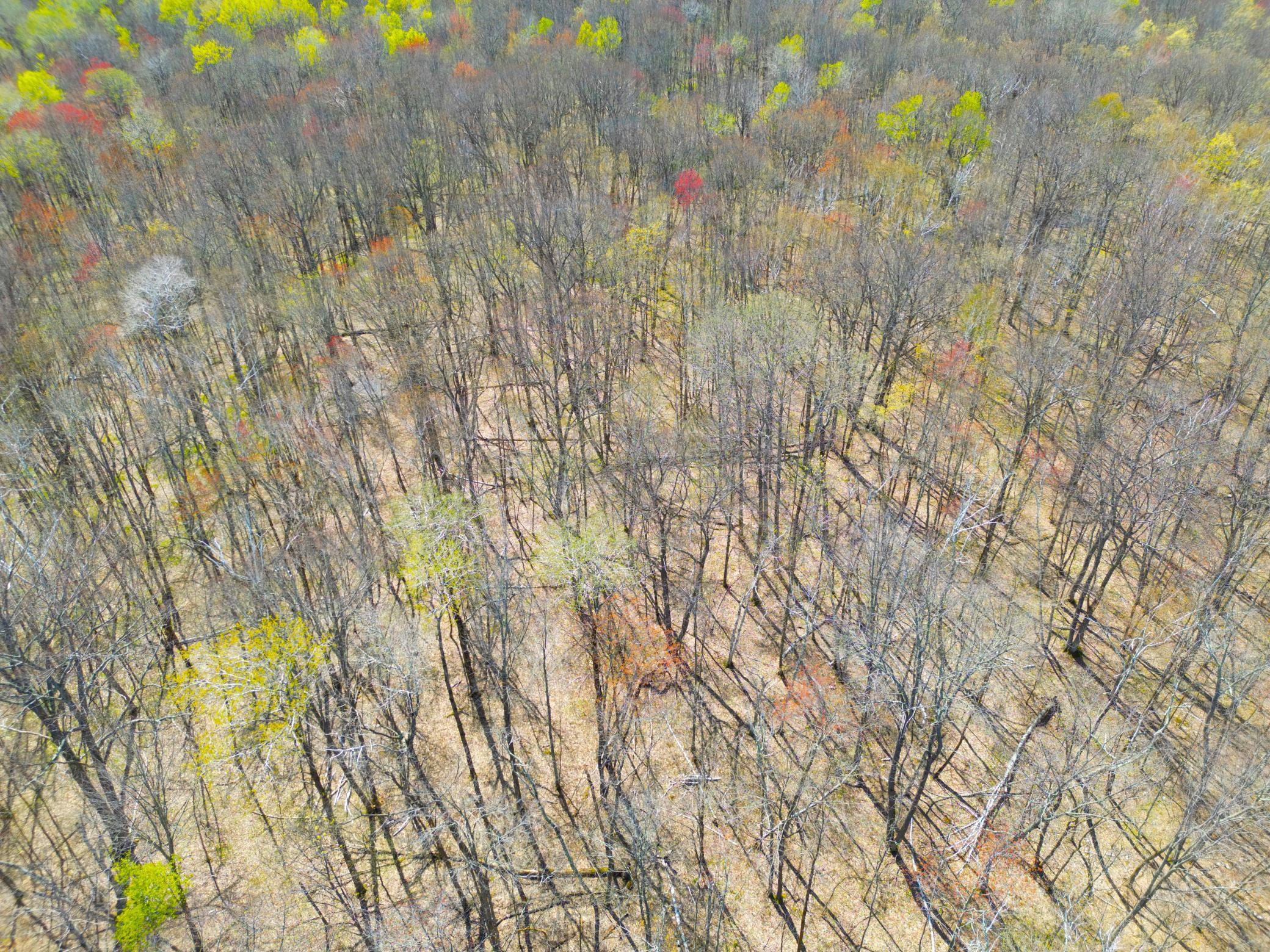 DJI_0189.JPG