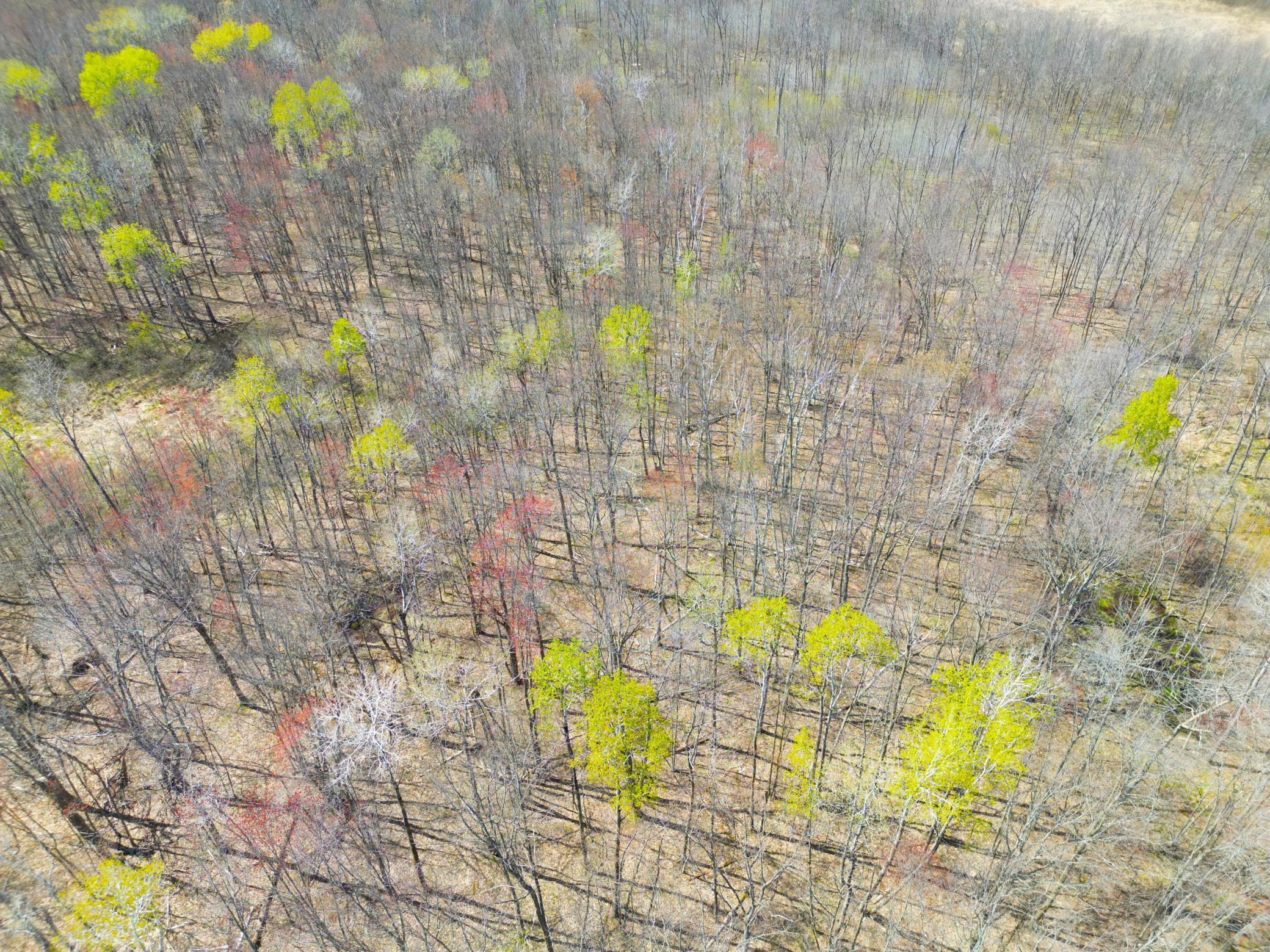 DJI_0187.JPG
