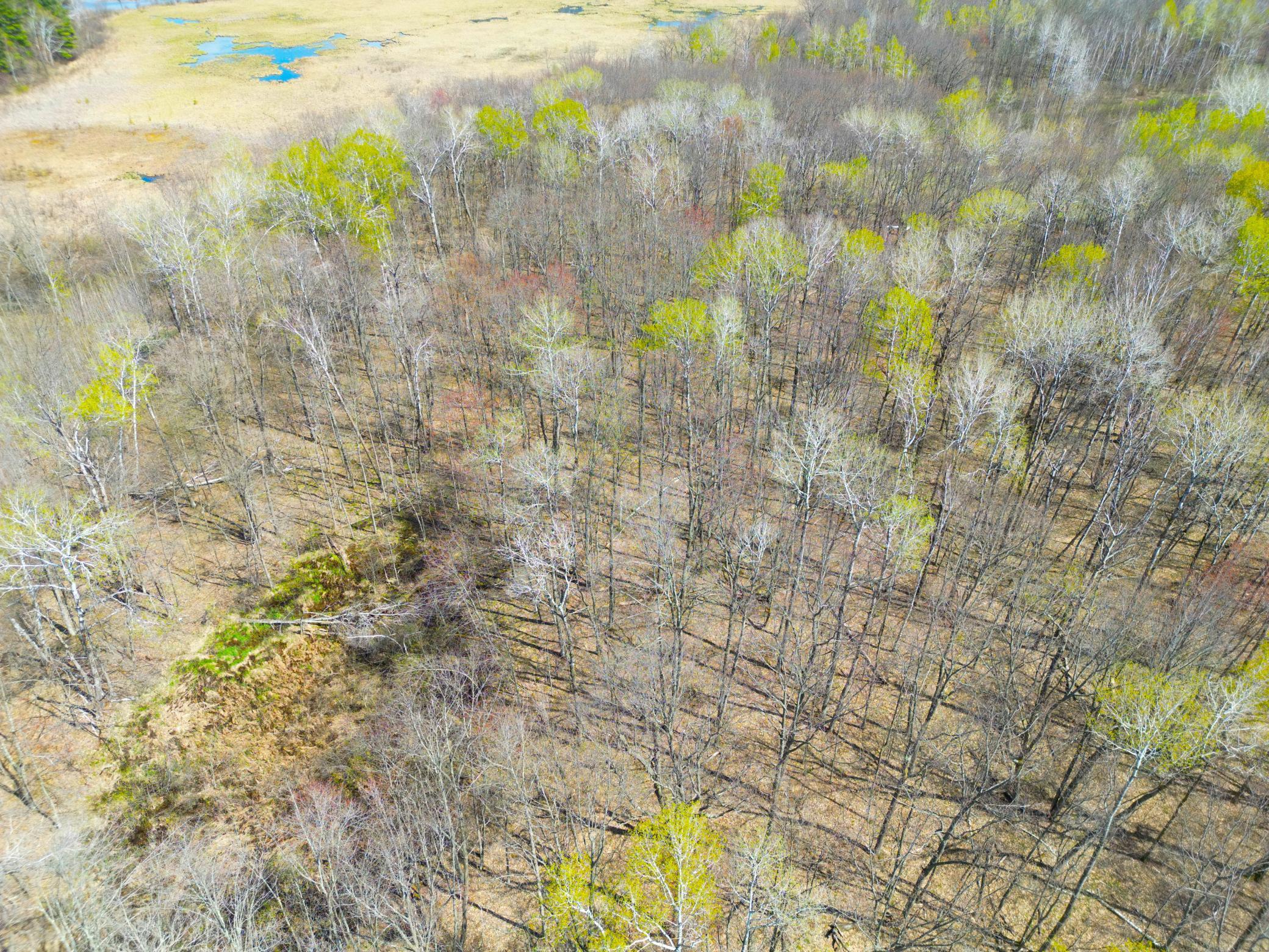 DJI_0191.JPG