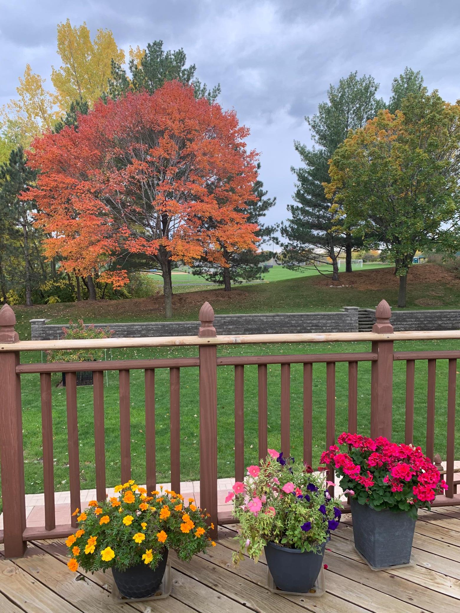 Seasonal rear view from deck