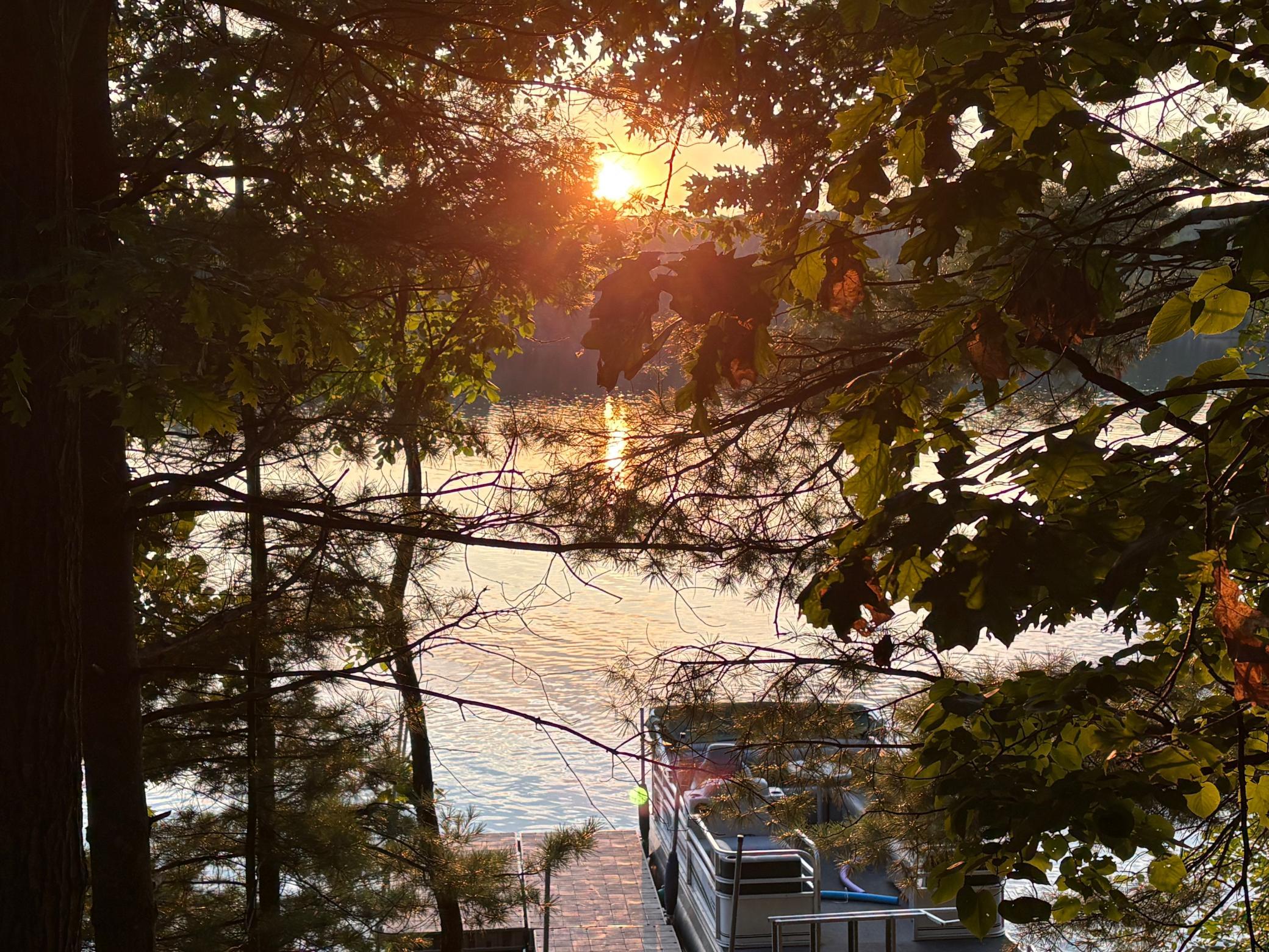 View of boat from the yard