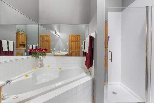 43-web-or-mls-290 Shoreview Estates-43.jpg