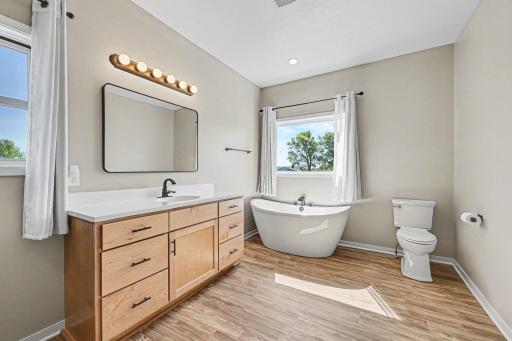19347 Lake Volney Circle, Le Center, MN 56057