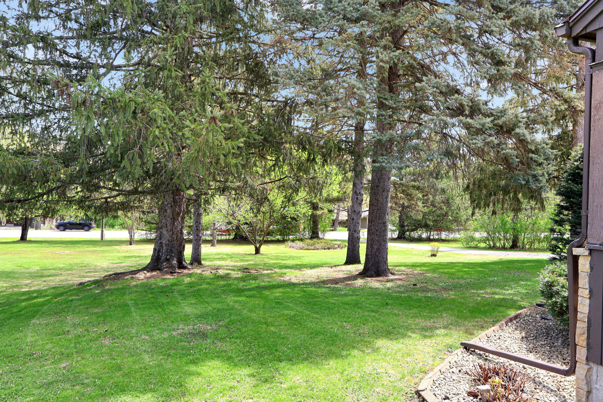 Spacious treed yard.
