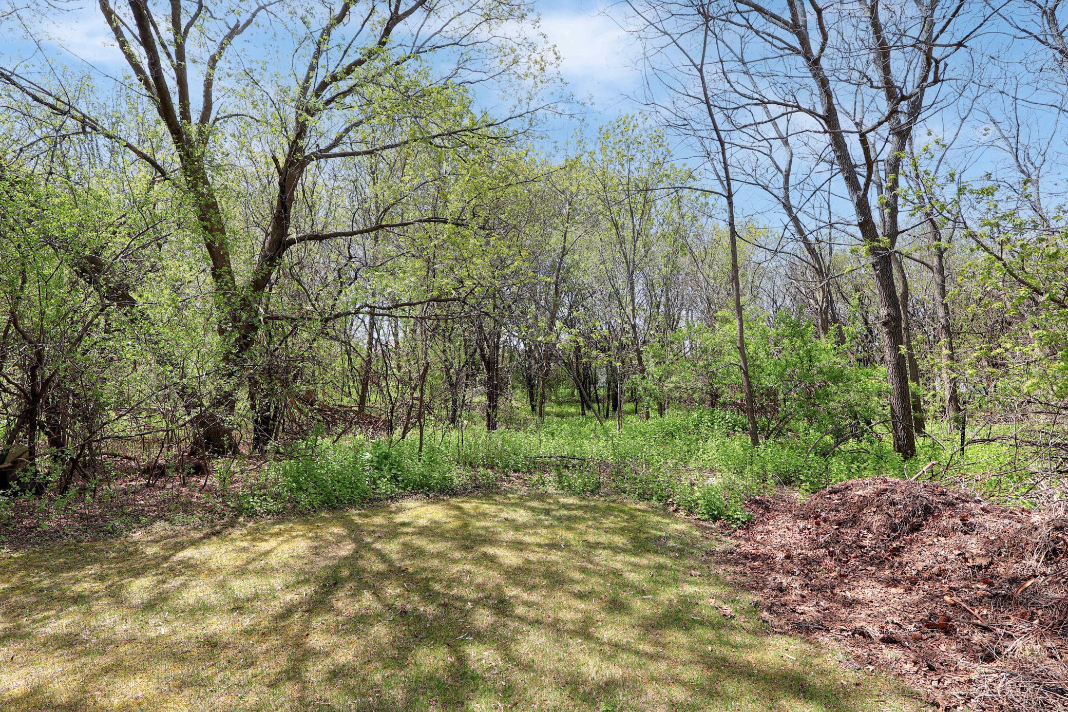 Almost an acre and a half and lots of trees!