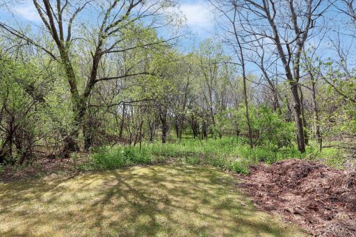 Almost an acre and a half and lots of trees!