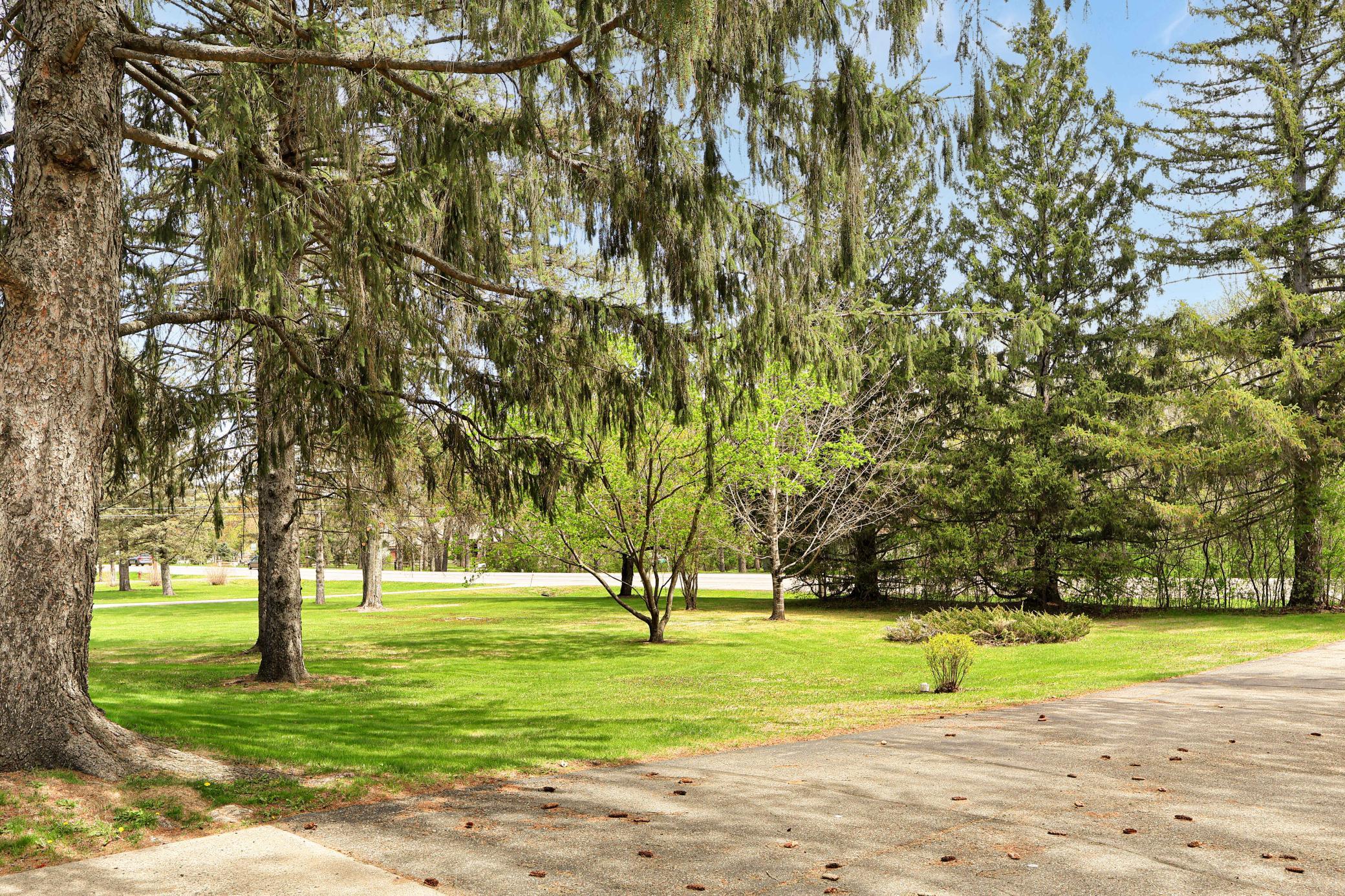 Driveway view.