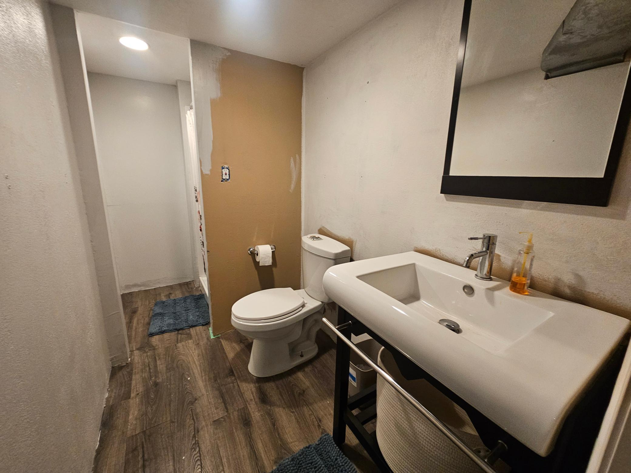 Basement bathroom