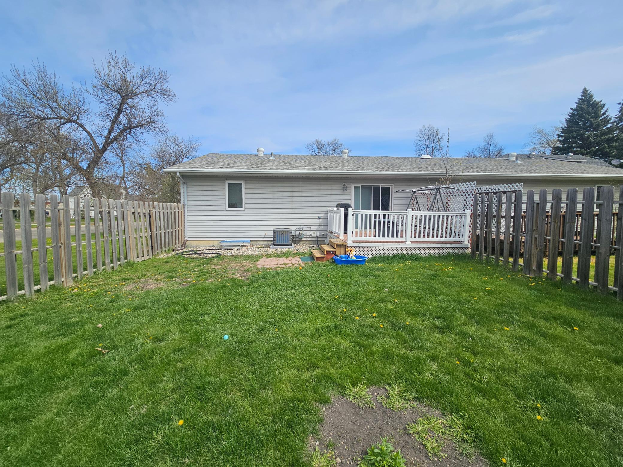 Back yard