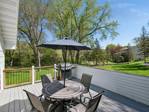 6401 Doron Lane, Minneapolis, MN 55439