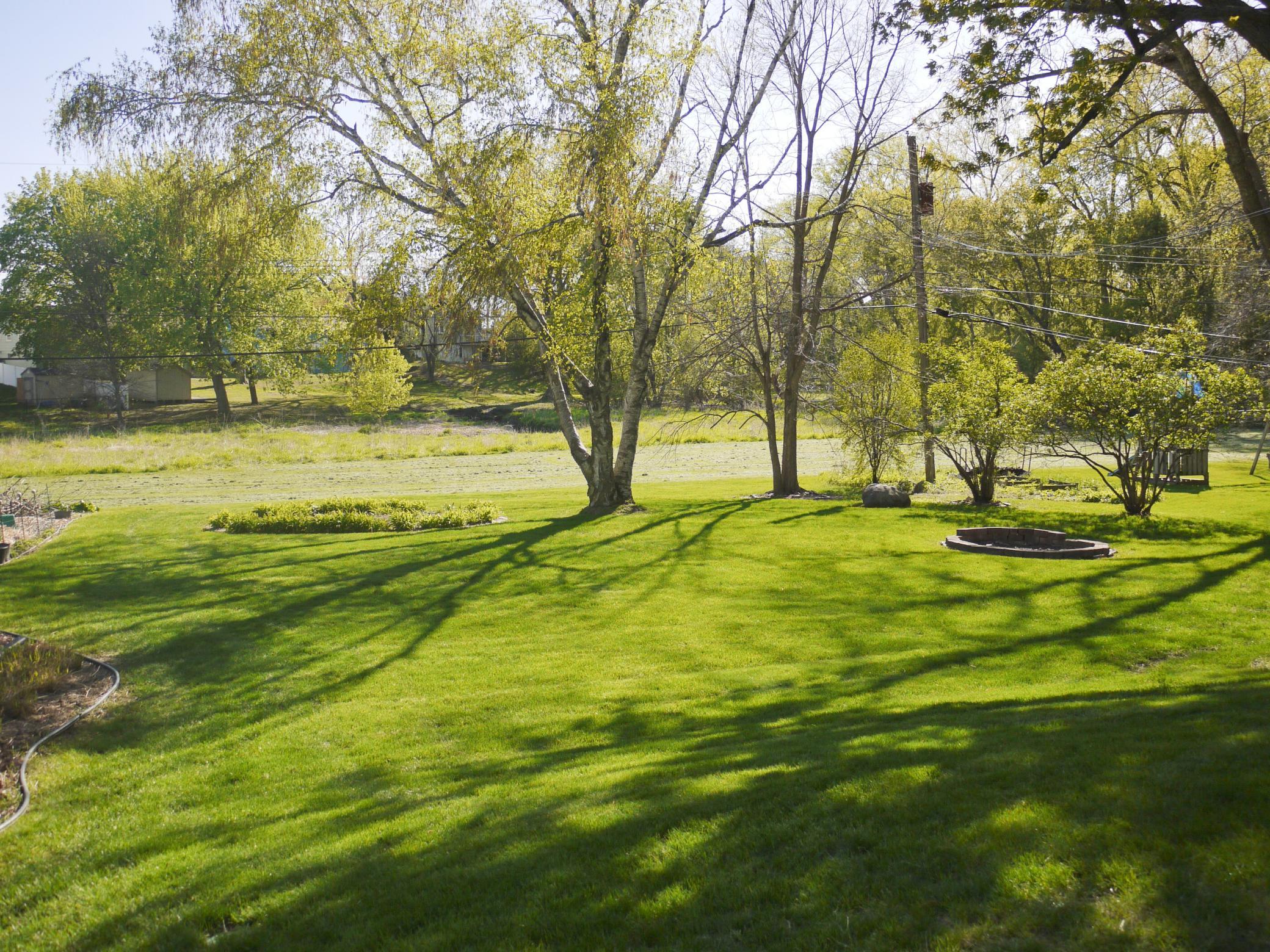 Rear Yard.jpg