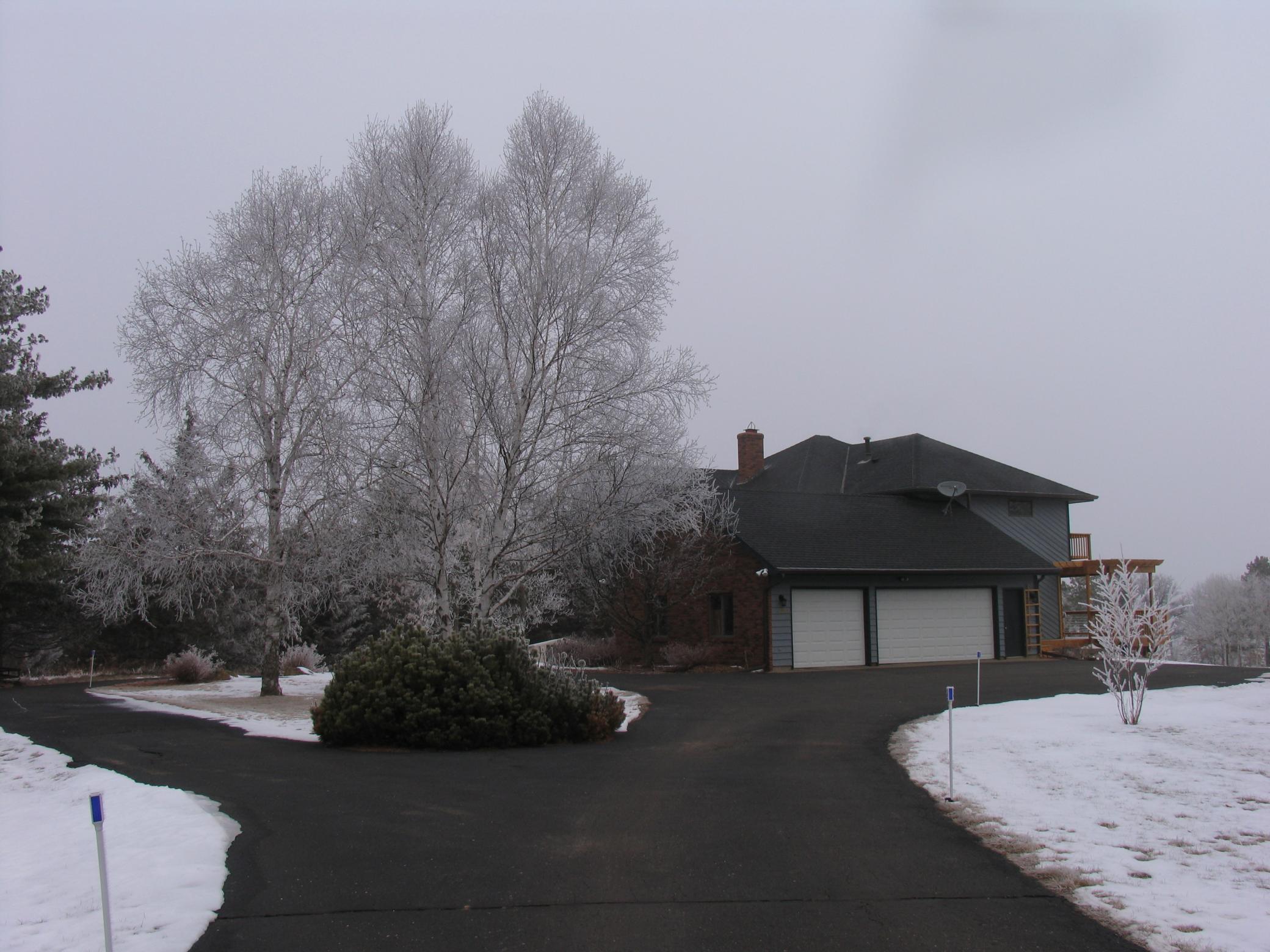 18 frosty morning 2-4-2012 012 (1).JPG
