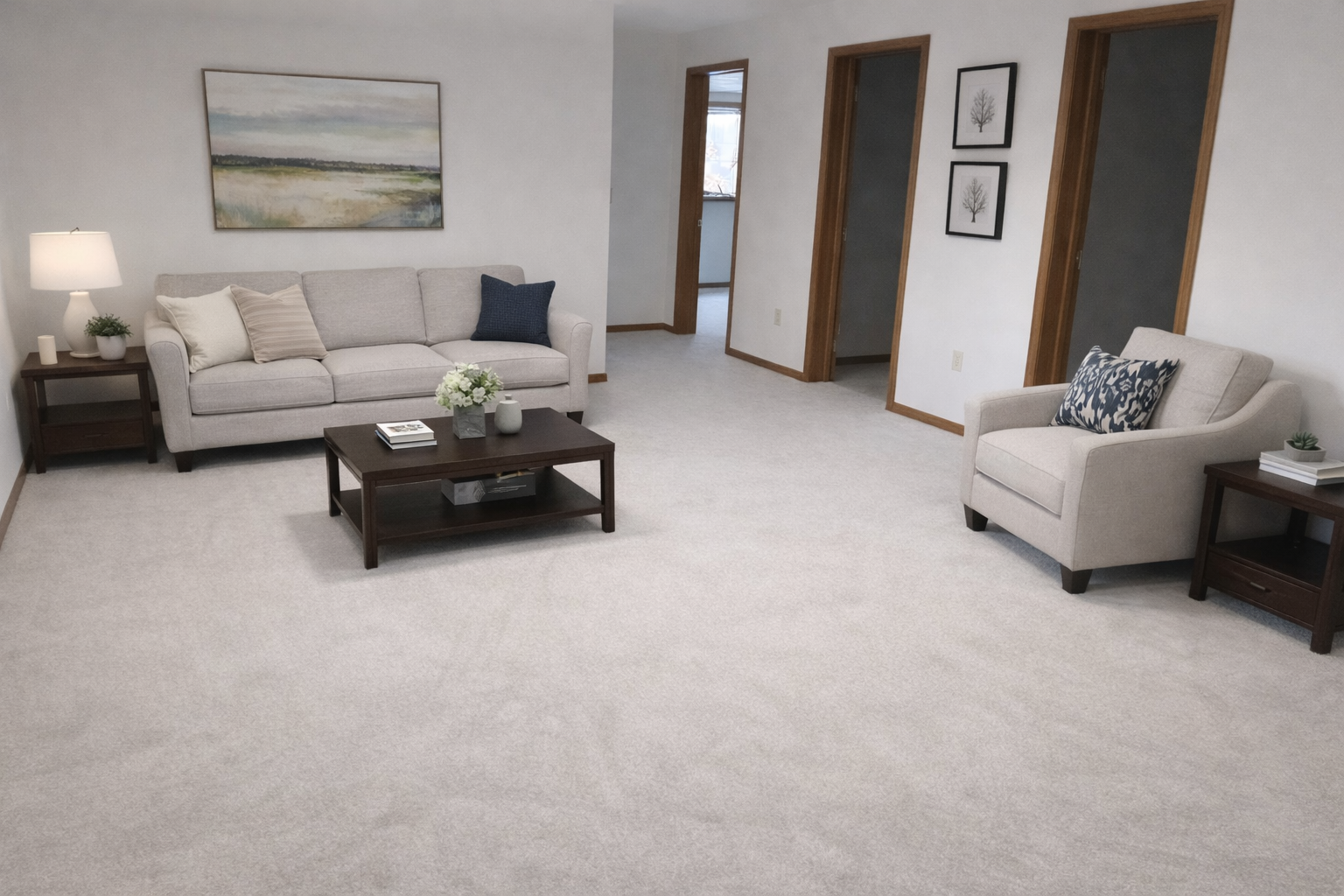 Basement new carpet