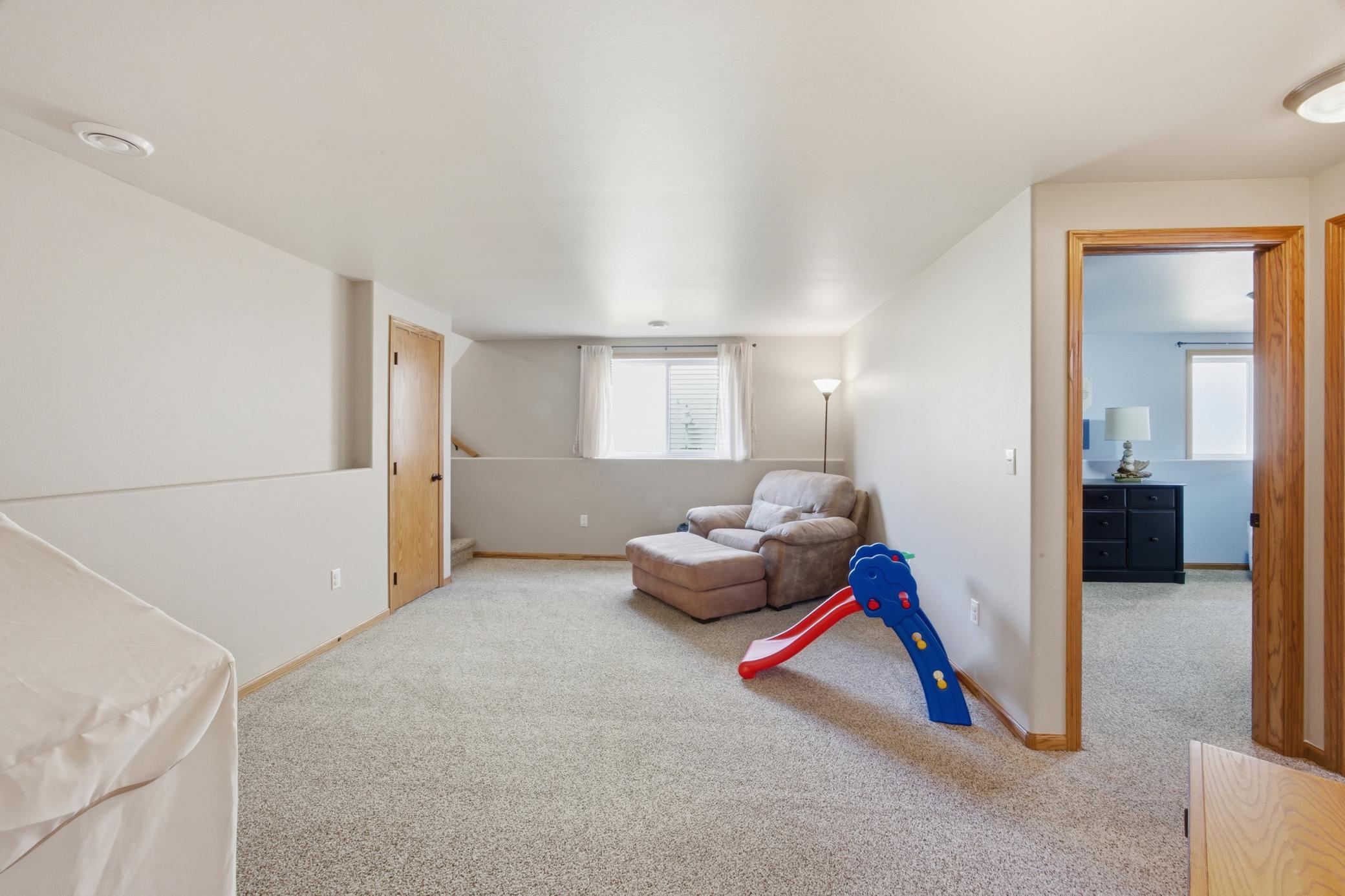 Lower Living Room