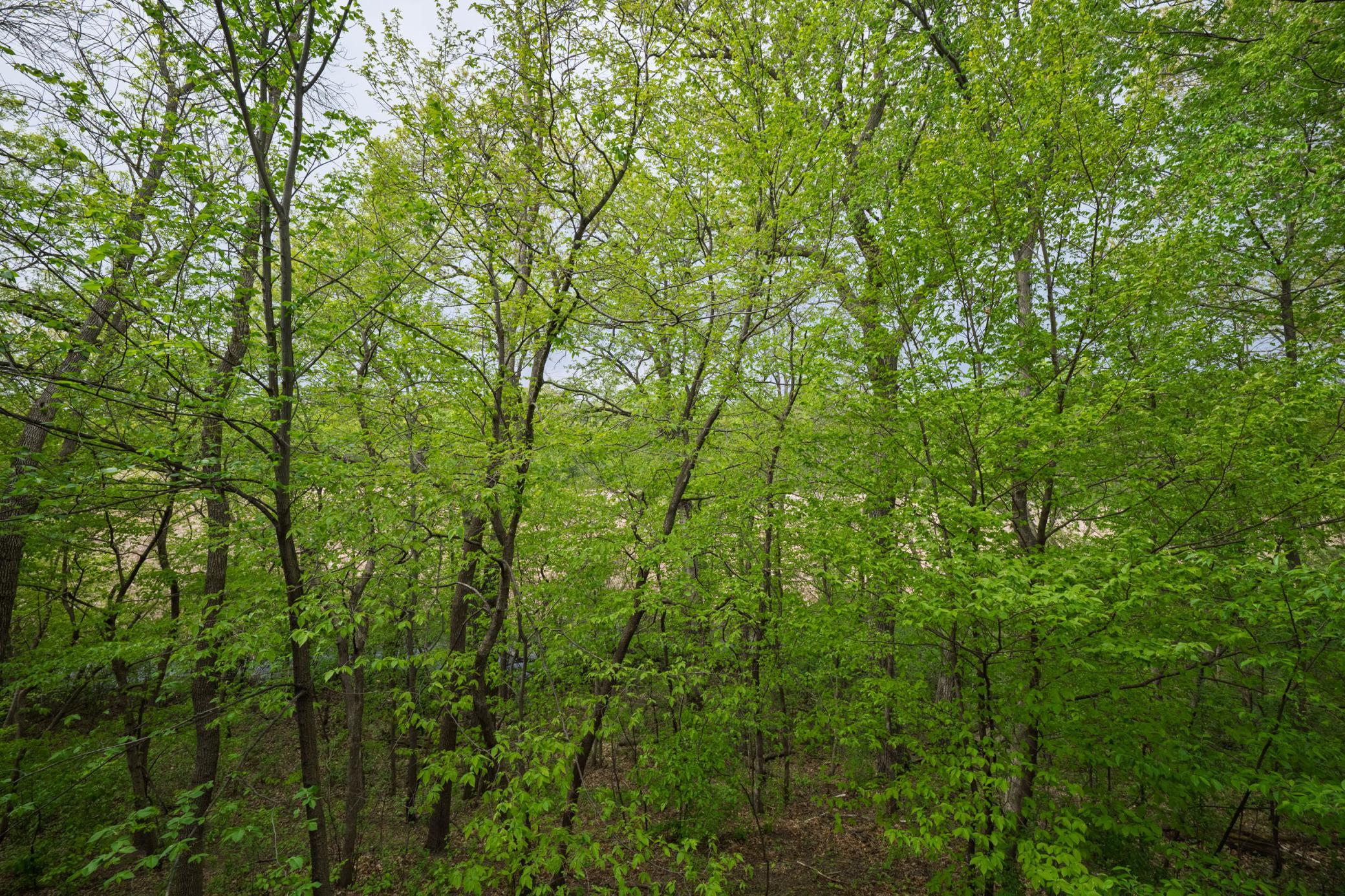 Photo 49