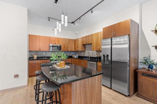 215 10th Avenue S, 207, Minneapolis, MN 55415